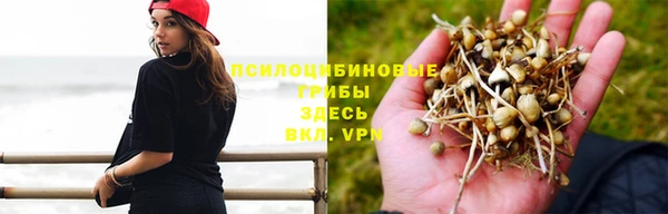 мяу мяу мука Алзамай