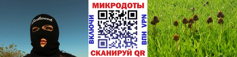 Псилоцибиновые грибы MAGIC MUSHROOMS  где купить наркотик  Углич 